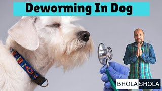 Deworming  Dewormed  Deworm  In Dogs  Puppys  Bhola Shola [upl. by Ahselak146]