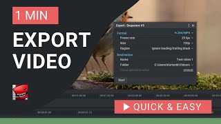 Lightworks Tutorial How to Export Video in Lightworks [upl. by Orlan404]