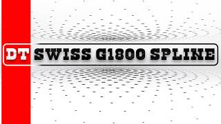 DTSWISS G1800 SPLINEIs this the best Low Budget bike wheel [upl. by Bakeman]