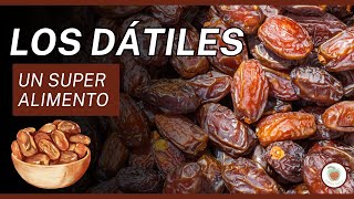 LOS DÁTILES UN SUPERALIMENTO [upl. by Arannahs10]