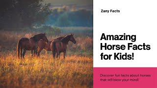 Amazing Horse Facts For Kids [upl. by Jannery]