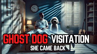 Paranormal dog visitation [upl. by Donavon332]