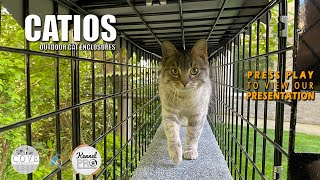 Catio Outdoor Cat Cage Enclosure Systems [upl. by Ellord953]