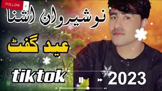 New Pashto Songs 2023  Nosherwan Ashna  نوشروان پانیزئ نوی غزل [upl. by Navonod313]