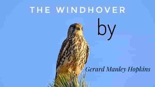 CRITICAL APPRECIATION OF THE POEM THE WINDHOVER BY G M HOPKINS [upl. by Aizahs]