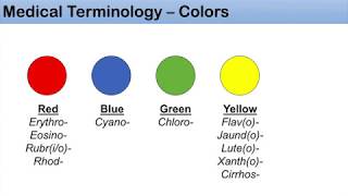 Medical Terminology  The Basics Lesson 11  Colors [upl. by Sefton]