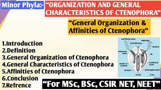 Organization and General Characteristics of Ctenophora  Affinities of Ctenophora  Ctenophora [upl. by Witte]