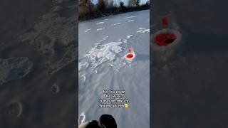 Midwest ASMR icefishing winterfishing viralvideos shorts wintersport [upl. by Gilleod]