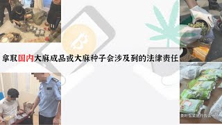 拿取国内大麻成品和大麻种子会涉及到的法律问题 [upl. by Arvy]