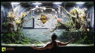 I Found a FLYING DRAGON in My Giant Wetlands Vivarium [upl. by Fae]