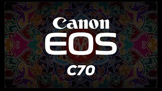 THE CANON C70 The Production Workhorse [upl. by Nilesoy566]