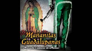 Mariachi Cantares de Mexico quotMañanitas Guadalupanasquot Disco Completo [upl. by Bromley949]