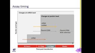 Designing a transfection experiment [upl. by Colet551]