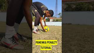 Panenka Penalty Goals [upl. by Glynias627]