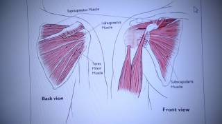 Treating FullThickness Rotator Cuff Tears Nonoperatively [upl. by Cannice995]