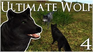 Discovering Our Lost Mate • Ultimate Wolf Simulator  Episode 4 [upl. by Cela]