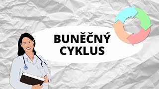 BUNĚČNÝ CYKLUS [upl. by Lugar140]