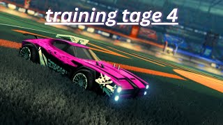 training tage 4 [upl. by Namaj]