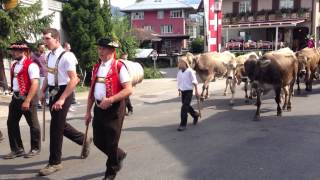 Cow Parade in Appenzell Switzerland [upl. by Ataymik]