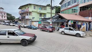 A Day Walking Around San Ignacio Belize With Stray Dogs  Visiting Cahal Pech Maya Ruins amp Iguanas [upl. by Hgalehs]