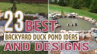 23 Best Backyard Duck Pond Ideas and Designs [upl. by Daza]