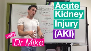 Acute Kidney Injury AKI [upl. by Reinertson]