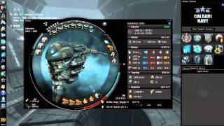 Brutix PVE Fitting  Level 3 Mission Runner  EVE Online [upl. by Coridon939]