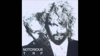 Eurythmics  Sweet Dreams Notorious TRP Remix [upl. by Ahsrat]