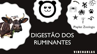 Digestão dos Ruminantes [upl. by Enerahs]