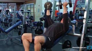 reverse grip incline dumbbell press [upl. by Kreiker]