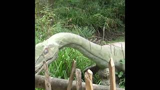 Plesiosaurs at World of Dinosaurs jurassicworld plesiosaurus paradisewildlifepark dinosaurus [upl. by Aicarg]