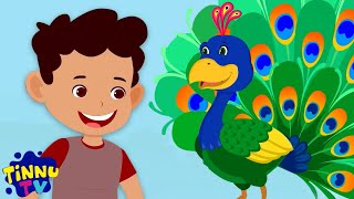 Nache Re Mor Pankh Faila Ke नाचे रे मोर पंख फैला के Bird Rhyme In Hindi For Kids [upl. by Evannia155]