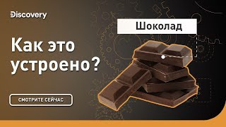 Шоколад  Как это устроено  Discovery [upl. by Dalpe]