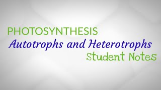 Autotrophs and Heterotrophs Student Notes [upl. by Corson]