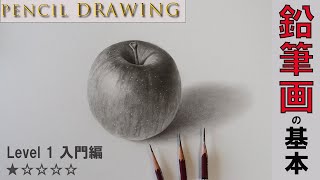 【鉛筆画の基礎】まずはリンゴを描いてみようデッサンdrawing [upl. by Norreg]