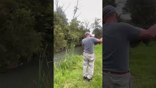 Hopper sipping Brown Trout shorts flyfishing browntrout [upl. by Torrey]