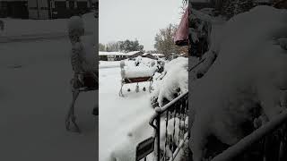 Colorado Snow Storm November 2024 [upl. by Eldwun23]