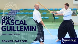 Pascal Guillemin bokken part one in Brescia [upl. by Dleifrag376]