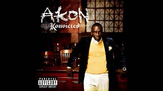 Akon  Smack That featuring Eminem Audio [upl. by Naujid]