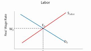 Supply and Demand for Labor [upl. by Belloir398]