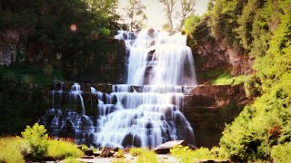 Chittenango Falls State Park [upl. by Dahsra]