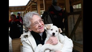 Sled Dog Discovery and Mushers Camp  Juneau Alaska [upl. by Cloris]