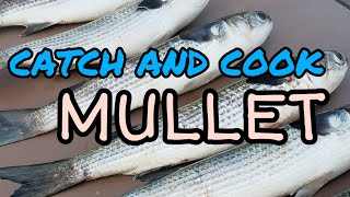 How To Cook Mullet Two Recipes [upl. by Gerardo521]