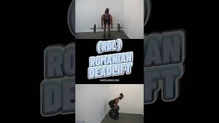 Romanian Deadlift RDL [upl. by Bohlen35]