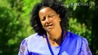 Meseret BeleteFikir Befereka  áˆ˜áˆ°áˆ¨á‰µ á‰ áˆˆáŒ  áá‰…áˆ­ á‰ áˆáˆ¨á‰ƒ Ethiopian Music [upl. by Amsa]