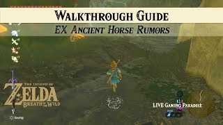 Breath of the Wild  EX Ancient Horse Rumors DLC Side Mission [upl. by Utham]