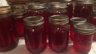 HOW TO MAKE PLUM JELLY STEP BY STEP [upl. by Stroup581]