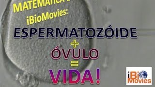 Espermatozoide  Óvulo  Vida  iBiomovies [upl. by Anurb]