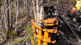 KX280 Tree Shear with The Collector [upl. by Raddatz]