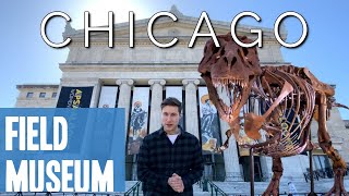 Field Museum Chicago  Guide amp Review 2021 [upl. by Eudora75]